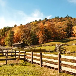 Promocja jesienna – teraz nawet 15% taniej!